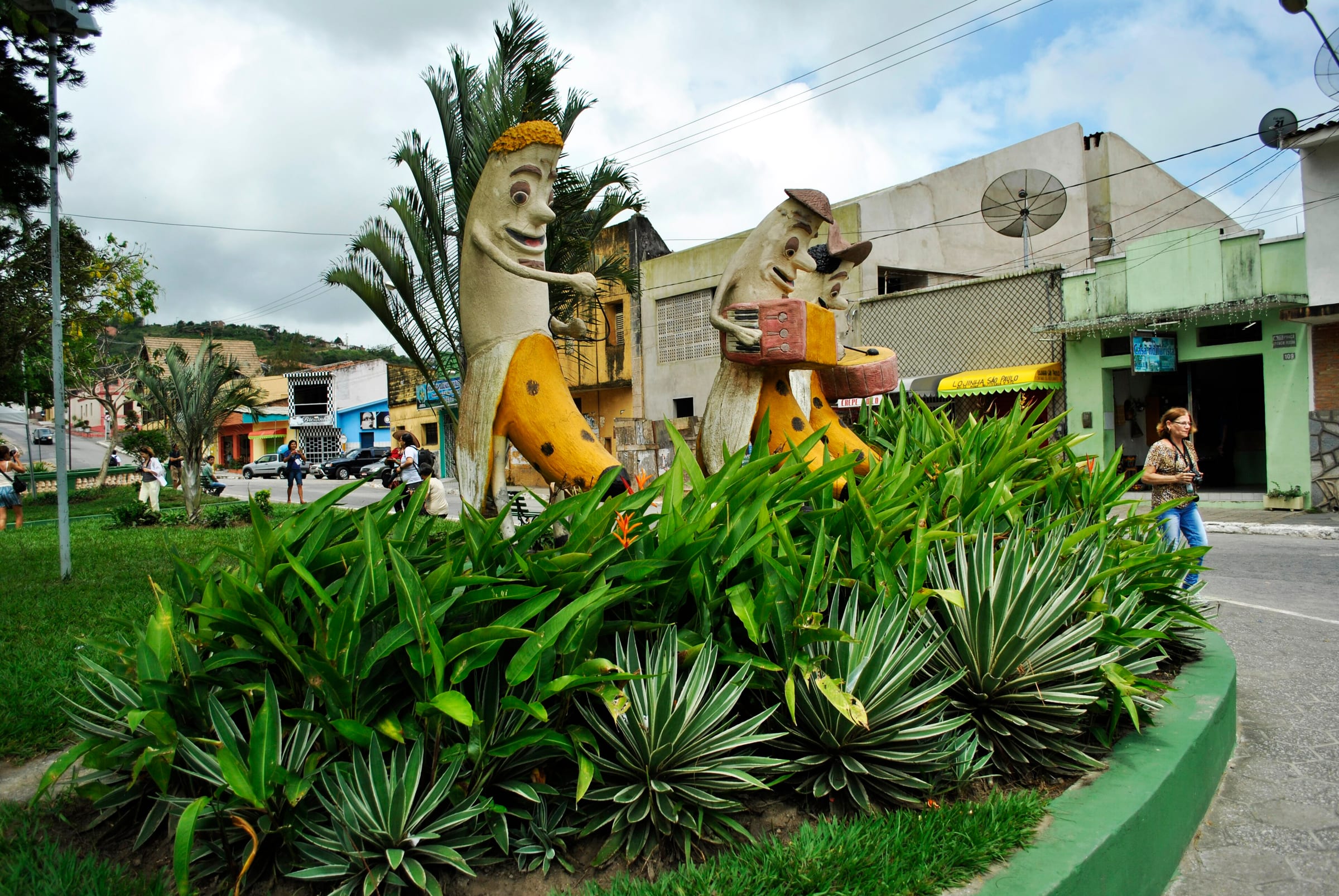 Bananeiras e a serra